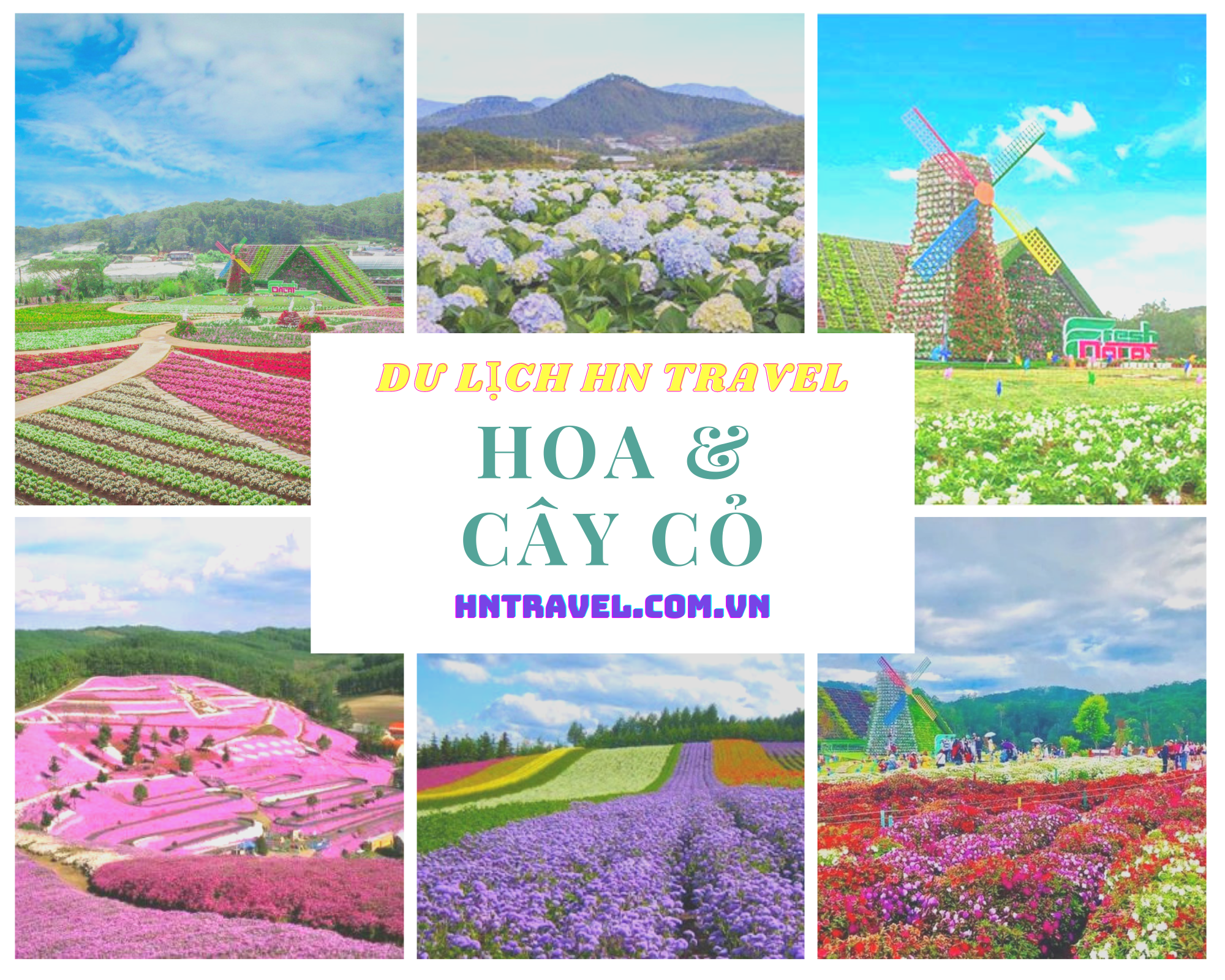 Tour du lịch Phan Thiết Đà Lạt Tour du lịch Phan Thiết Đà Lạt