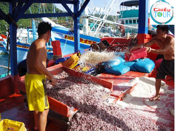 Làng chài lưới tại khu vực Bãi Ngự