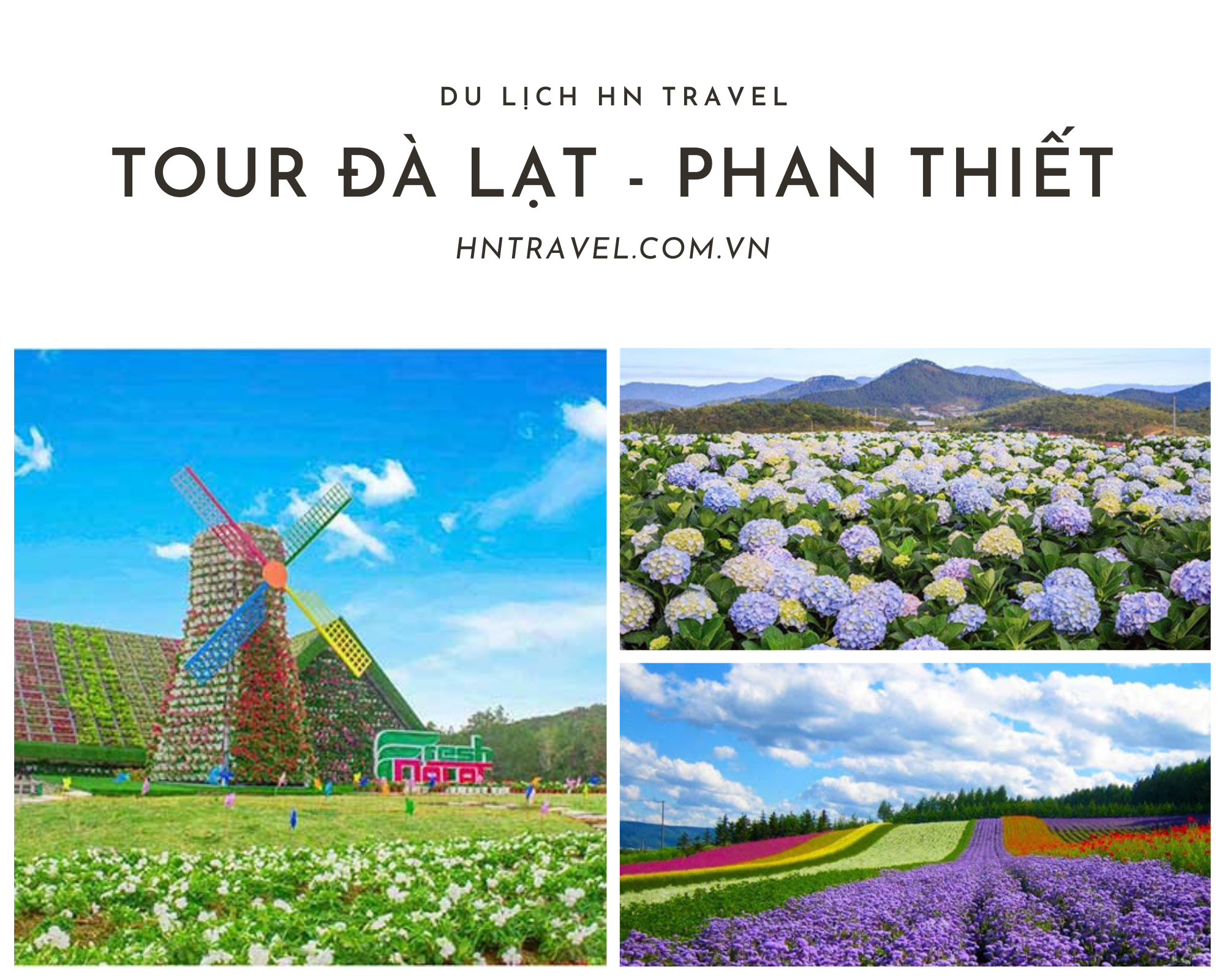 Tour du lịch Phan Thiết Đà Lạt Tour du lịch Phan Thiết Đà Lạt