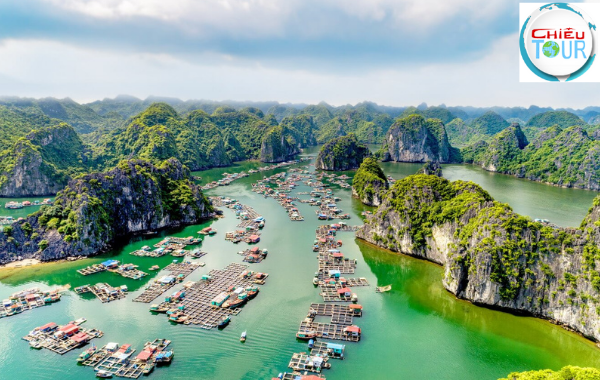 Kinh Nghiệm Du Lịch Hạ Long Tự Túc Mới Nhất