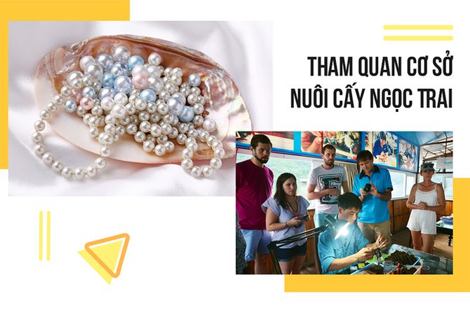 Ngọc Trai tại Côn Đảo