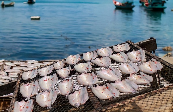 Khô mực một nắng