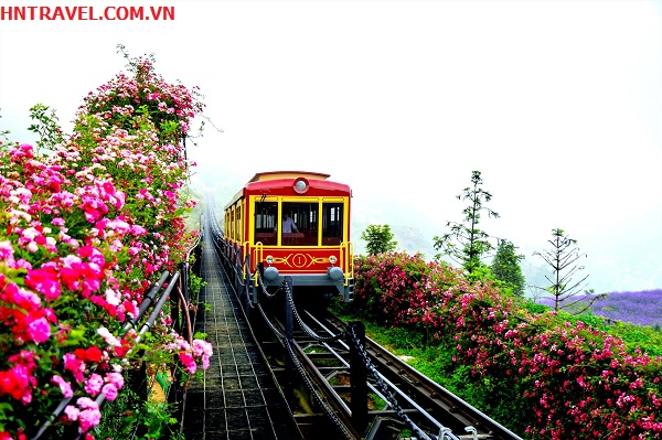 tau-lua-muong-hoa-tour-sapa-3n2d-gia-re