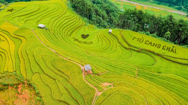 ruong-bac-thang-vanh-mong-ngua-tai-mu-cang-chai