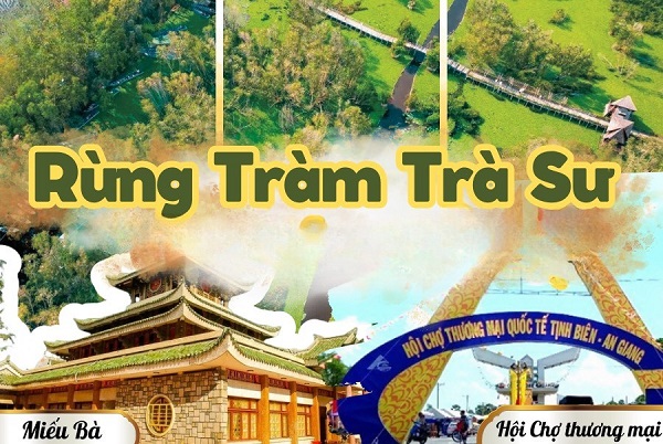 rung-tram-tra-su-an-giang.jpg