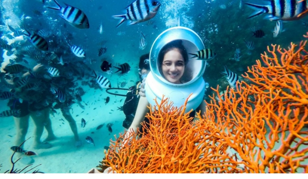 Lặn ngắm san hô bằng bình dưỡng khí dưới lòng biển