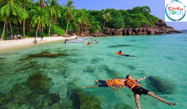 Lặn ngắm san hô tại Hòn Móng Tay