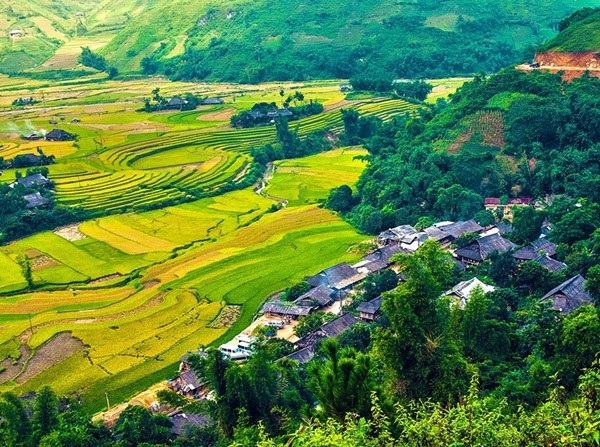 ban-lang-nguoi-thai-tai-mu-cang-chai