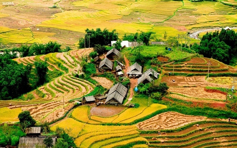 Hình ảnh Bản Tả Phìn tại Sapa