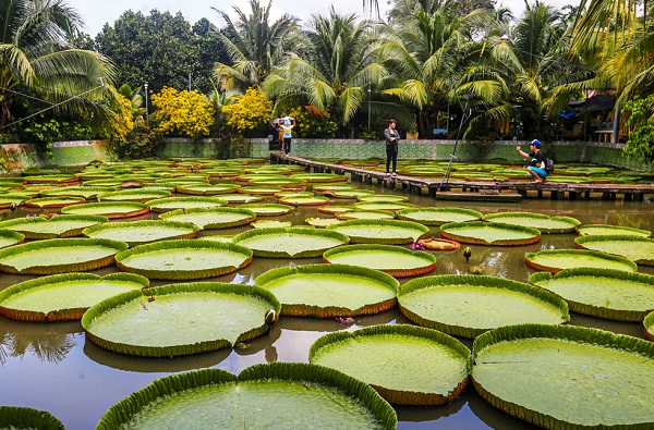 Địa điểm check-in tại Chùa Lá Sen