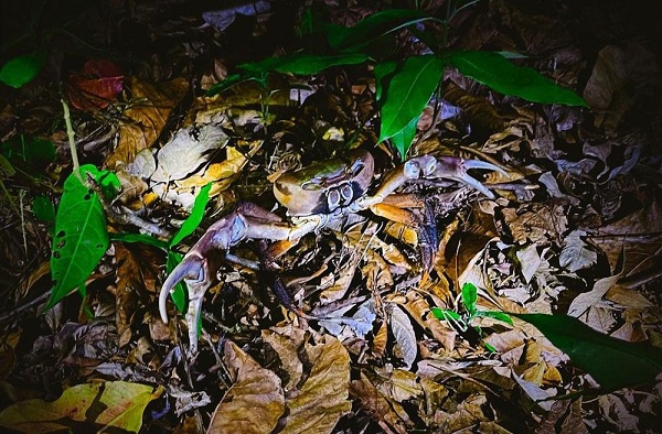 Cua Xe tăng nổi tiếng tại Côn Đảo