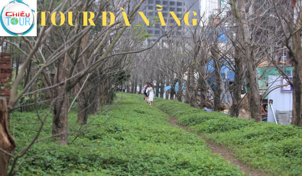 Top địa điểm du lịch Đà Nẵng