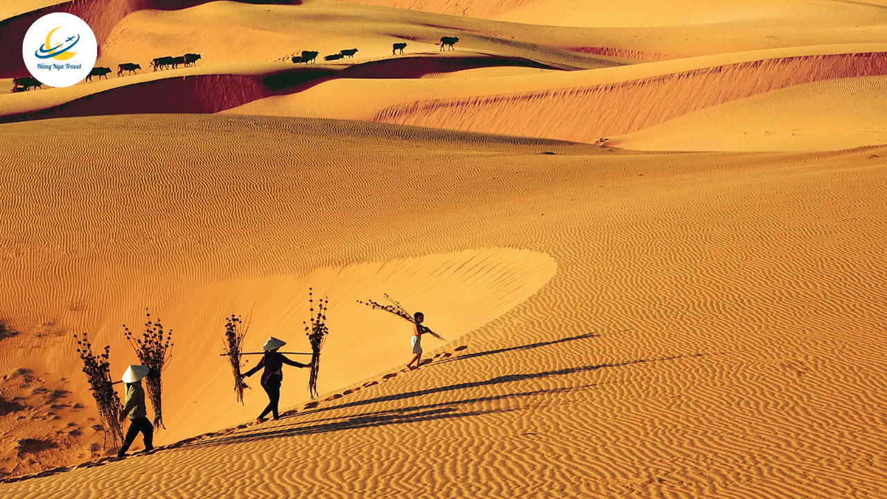 Tour du lịch Phan Thiết Tết Dương Lịch