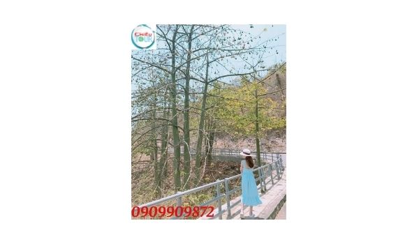 Đường lên Hải đăng Vũng tàu