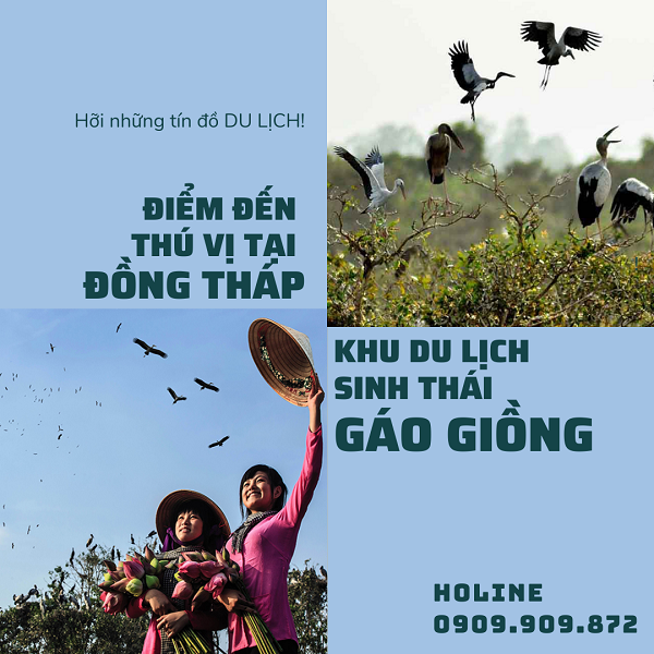 Khu du lịch Gáo Giồng tại Đồng Tháp