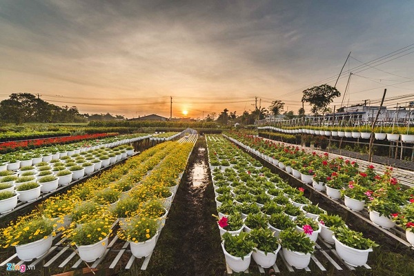 Làng Hoa Kiểng Sa Đéc