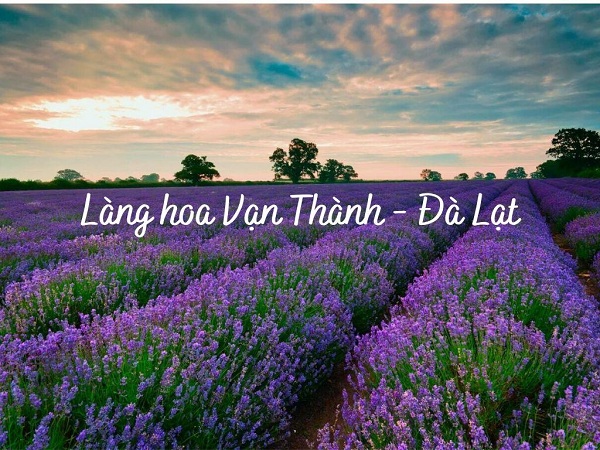 Làng Hoa Vạn Thành Đà Lạt