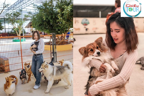 Nông trại Cún Puppy Farm