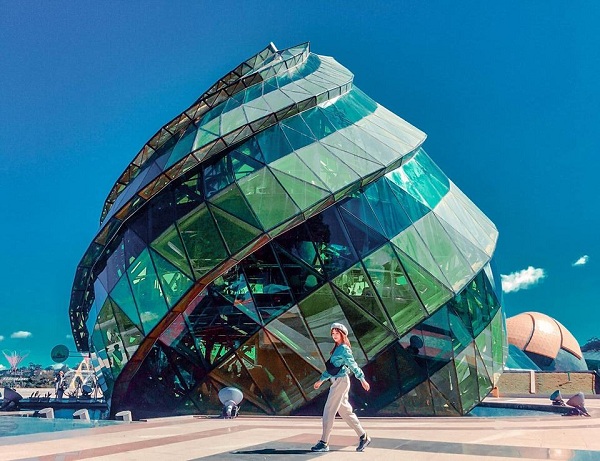 Nụ hoa Artiso tại Quảng Trường Lâm Viên