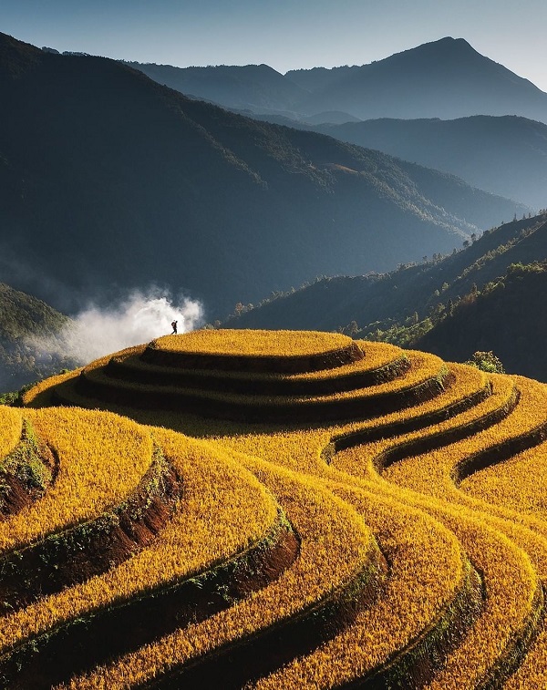 ruong-bac-thang-mam-xoi