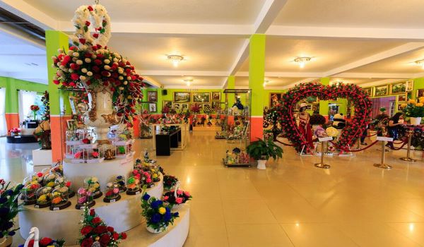 Showroom hoa khô tại Đà Lạt