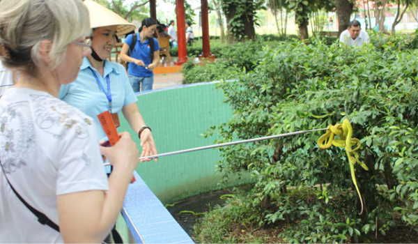 Du khách tham quan Trại Rắn