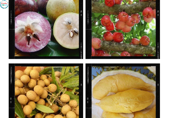 Đặc sản nổi tiếng tại Tiền Giang