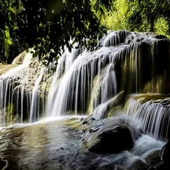 Tour Miền Tây 3 Ngày 2 Đêm TPHCM - Mỹ Tho - Châu Đốc - Cần Thơ