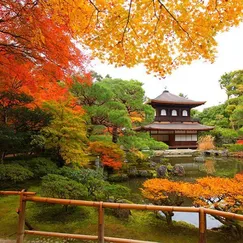 Nagoya - Kyoto - Shirakawago