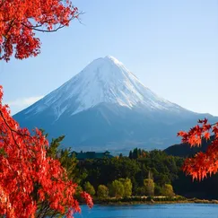 Tokyo - Yamanashi - Shizuoka - Kanagawa