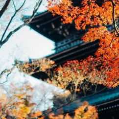 Nagoya - Shirakawago 4N3D