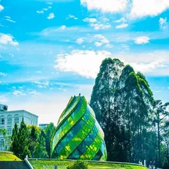 Tour Đà Lạt 3 Ngày 2 Đêm Tết Dương Lịch
