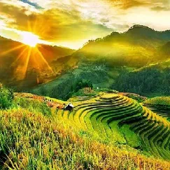 Tour Du Lịch Mù Cang Chải 5 Ngày 4 Đêm