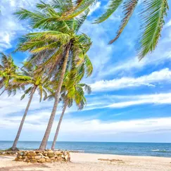 Tour Du Lịch Phan Thiết 2N1Đ Tết Nguyên Đán