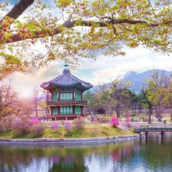 Tour Hàn Quốc - Seoul - Đảo Nami - Everland 5 Ngày 4 Đêm