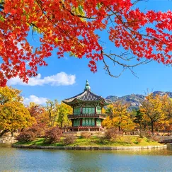 Tour Hàn Quốc Seoul - Lotte Aquarium - Đảo Nami 4 Ngày 3 Đêm