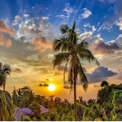 Tour Miền Tây TPHCM - Đồng Tháp - Cần Thơ 3 Ngày 2 Đêm