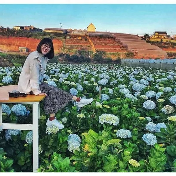 Tour Đà Lạt Khởi Hành Từ Long An