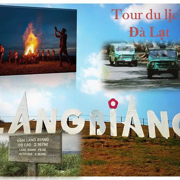 Tour Đà Lạt Khởi Hành Từ Long An