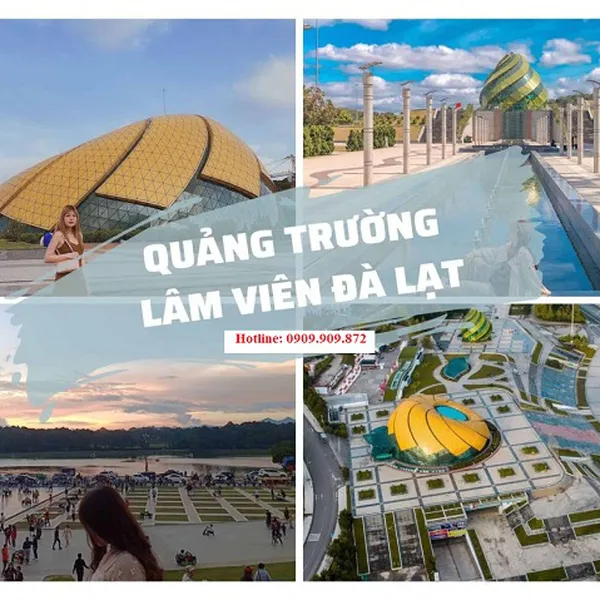 Tour Đà Lạt Khởi Hành Từ Long An