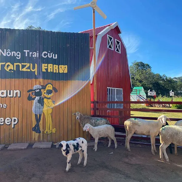 Tour Đà Lạt Khởi Hành Từ Long An