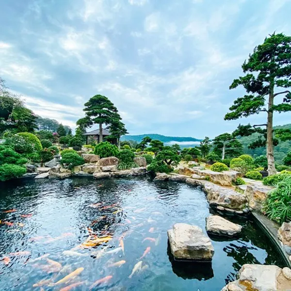 Tour Du Lịch Đà Lạt 3 Ngày 3 Đêm Lễ 2/9