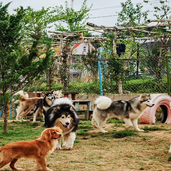 Tour Đà Lạt Khởi Hành Từ Vĩnh Long