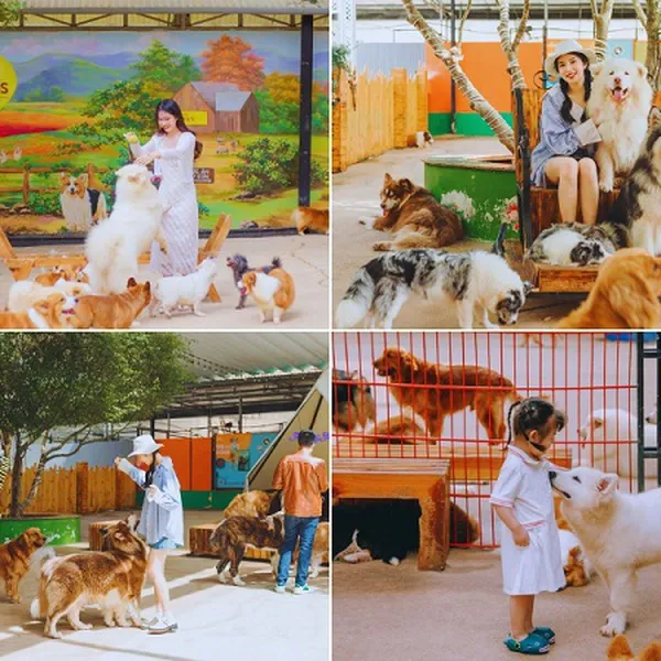 Tour Lễ 30/04 Nha Trang Đà Lạt 5 Ngày 4 Đêm