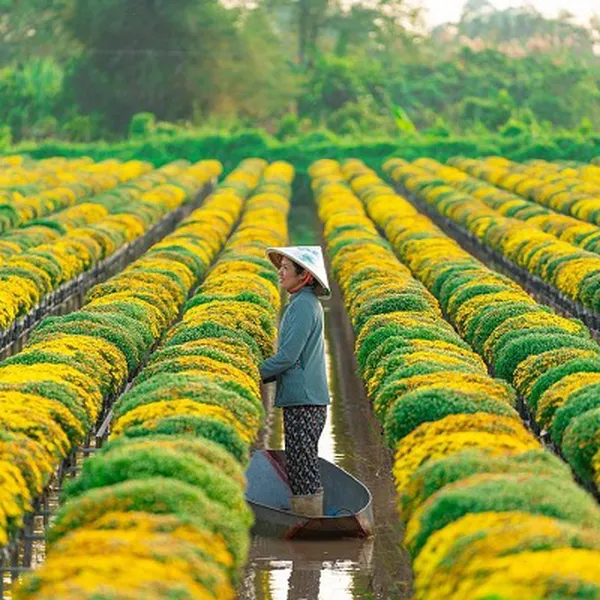 Tour Miền Tây TPHCM - Đồng Tháp - Cần Thơ 3 Ngày 2 Đêm
