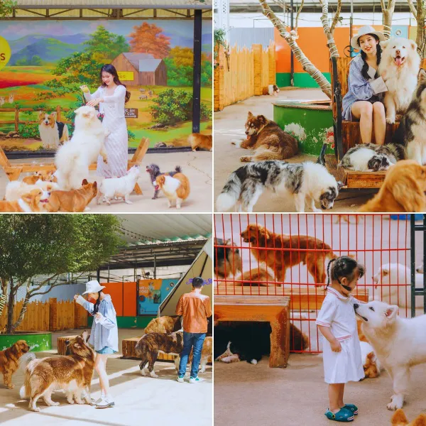 Tour Phan Thiết Đà Lạt Tết Dương Lịch