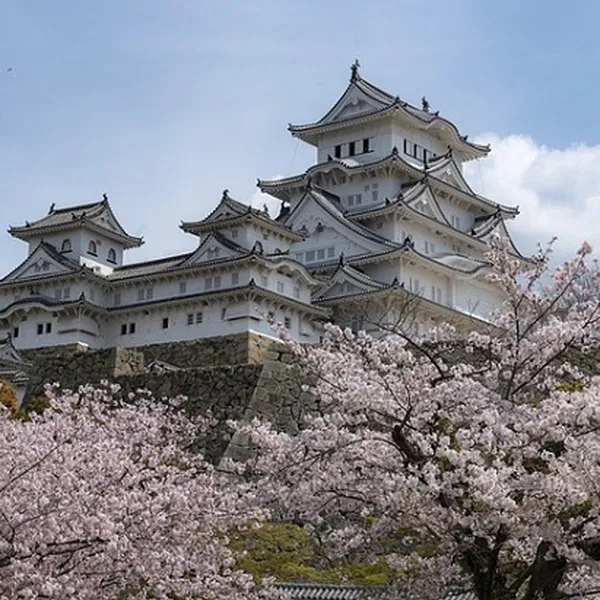 Tour Nhật Bản - Narita - Tokyo - Núi Phú Sĩ - Yamanashi