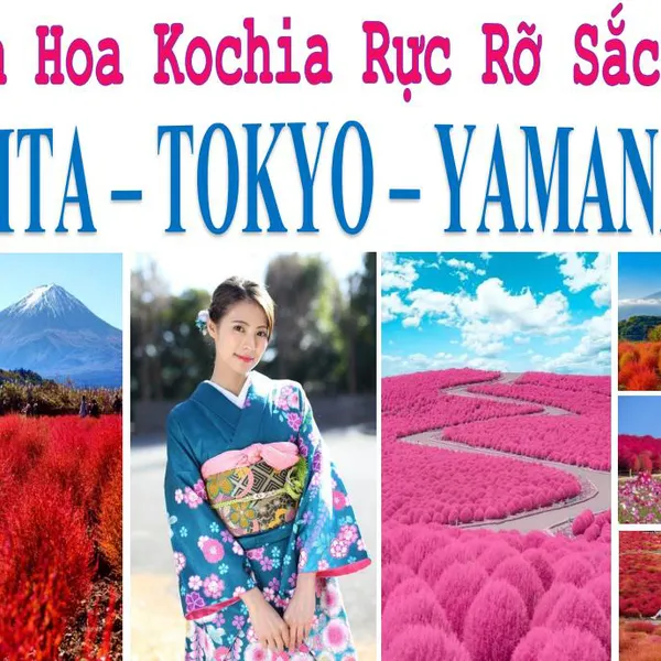 Tour Nhật Bản - Narita - Tokyo - Núi Phú Sĩ - Yamanashi