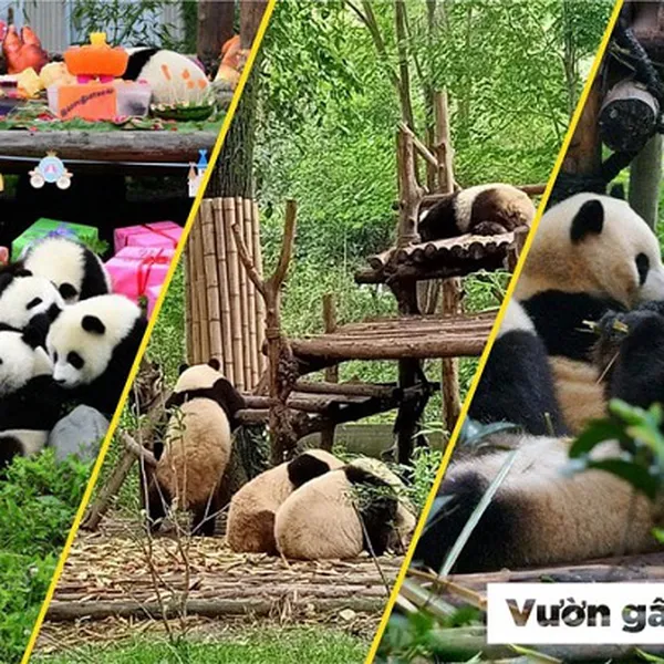 Tour Du Lịch Trung Quốc - Cửu Trại Câu - Lạc Sơn Đại Phật 6N5Đ