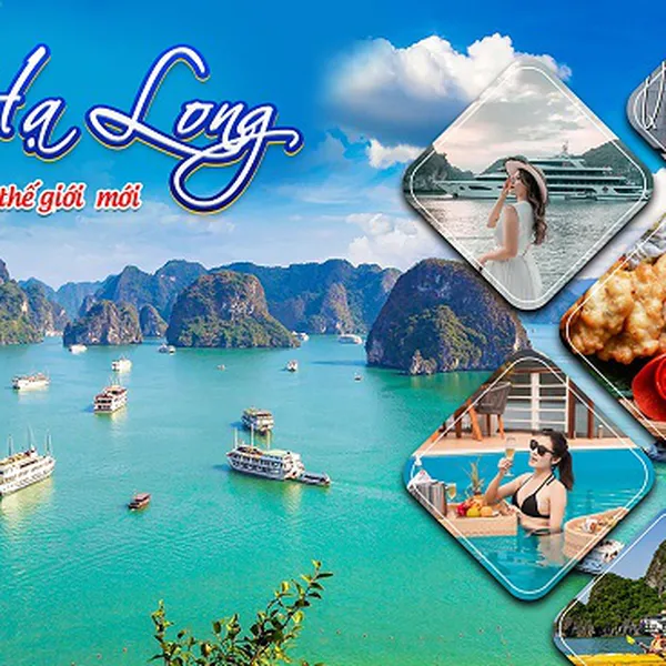 Tour Hà Nội Sapa Hạ Long Ninh Bình Tết Dương Lịch